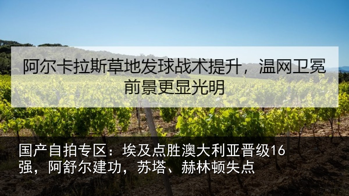 国产自拍专区：埃及点胜澳大利亚晋级16强，阿舒尔建功，苏塔、赫林顿失点